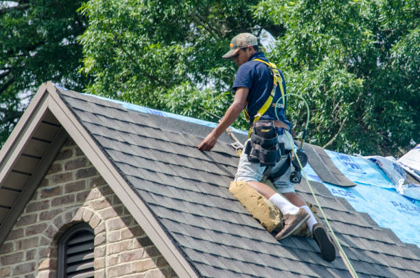 Best Metal Roofing Contractor  in Marysville, WA